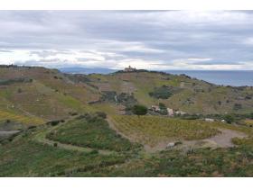 photo coins arrondis