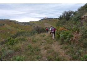 photo coins arrondis