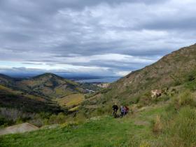 photo coins arrondis