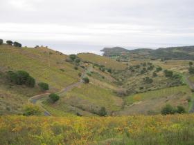 photo coins arrondis