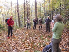 photo coins arrondis