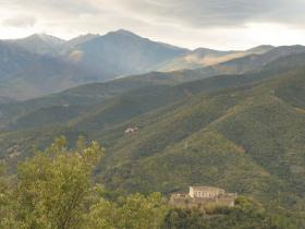 photo coins arrondis