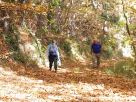 photo coins arrondis