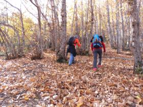 photo coins arrondis