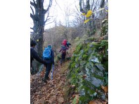 photo coins arrondis