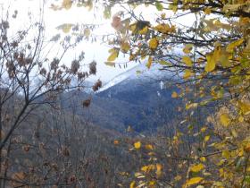 photo coins arrondis