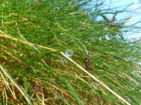 photo coins arrondis