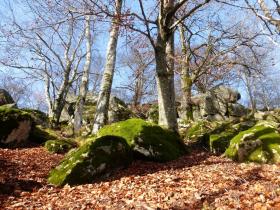 photo coins arrondis