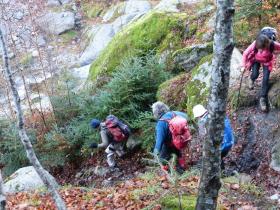 photo coins arrondis