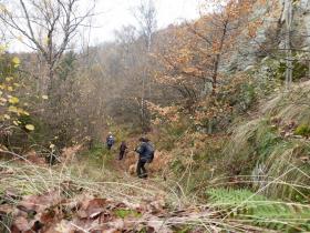 photo coins arrondis