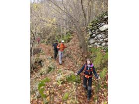 photo coins arrondis