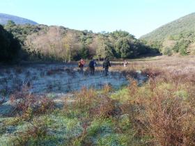 photo coins arrondis