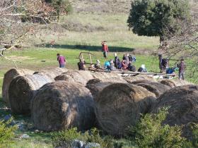 photo coins arrondis