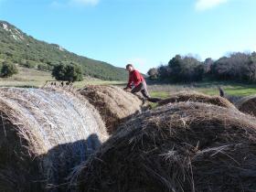 photo coins arrondis