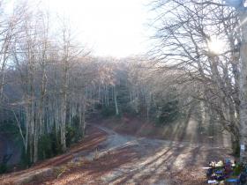 photo coins arrondis