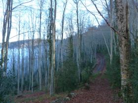 photo coins arrondis