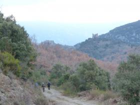 photo coins arrondis