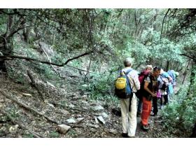 photo coins arrondis