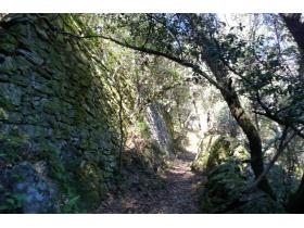 photo coins arrondis