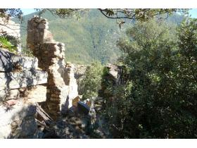 photo coins arrondis