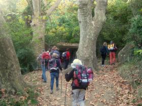 photo coins arrondis