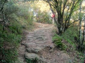 photo coins arrondis