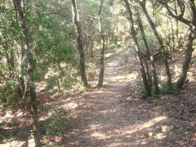 photo coins arrondis