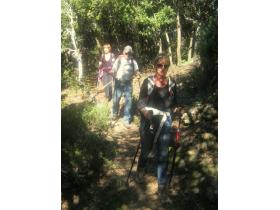 photo coins arrondis