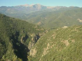 photo coins arrondis