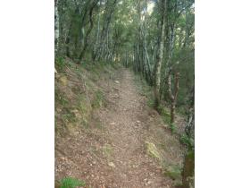 photo coins arrondis