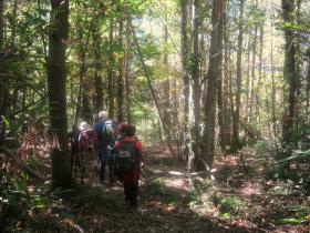 photo coins arrondis