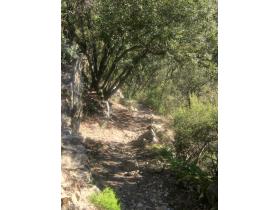 photo coins arrondis