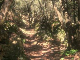 photo coins arrondis