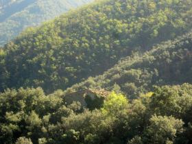 photo coins arrondis