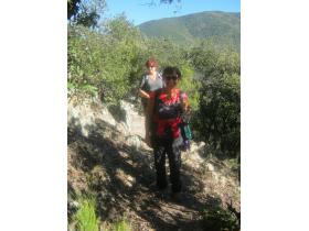 photo coins arrondis