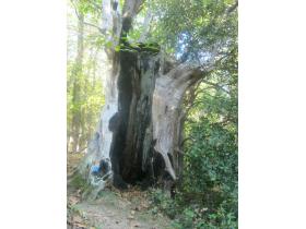 photo coins arrondis