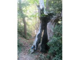 photo coins arrondis