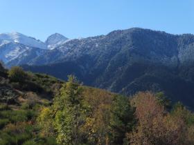 photo coins arrondis