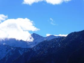 photo coins arrondis