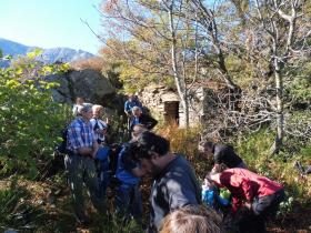 photo coins arrondis