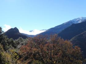 photo coins arrondis