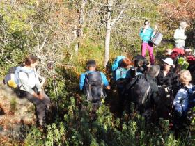 photo coins arrondis