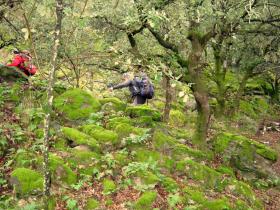 photo coins arrondis