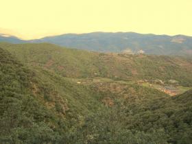 photo coins arrondis