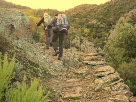 photo coins arrondis