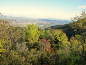 photo coins arrondis