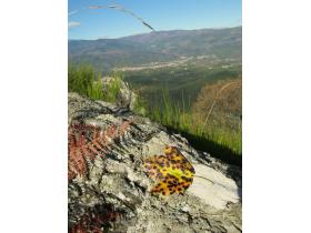 photo coins arrondis