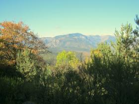 photo coins arrondis