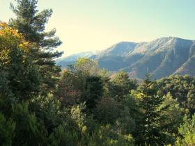 photo coins arrondis