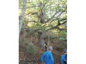 photo coins arrondis